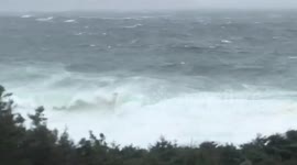 Hurricane Dorian winds bring huge waves to Canada’s western Newfoundland