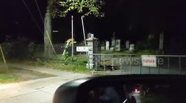 Trees down after Dorian