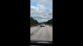 Several reindeer on the road while commuting.