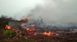 Indonesia Forest Fire