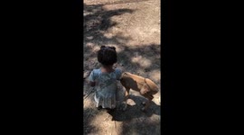 2 year old and deers