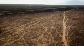 Forest fires in Bolivia. Protected area Ñembi Guasu escondite Grande. (great hiding place)