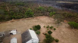 Forest fires in Bolivia. Protected area Ñembi Guasu. escondite Grande (great hiding place)