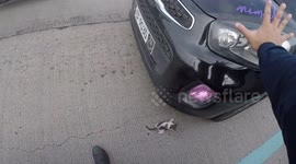 Hero couple on motorbike save kitten inches from being crushed by car wheel in Manila