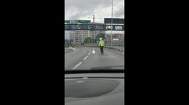 Hilarious moment swan stops traffic on London motorway