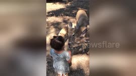 'No, no no!' Adorable little girl is very tired of deer surrounding  her