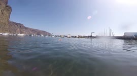 STINGRAYS at La Gomera beachshore