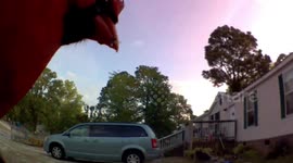 Visiting Cardinal