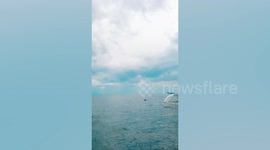 Pod Of Dolphins Swim Alongside Tourist Boat