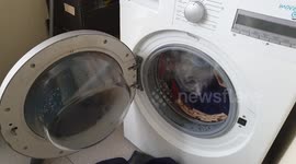 Smoking washing machine
