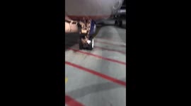 Horrifying moment bird gets trapped in air landing gear in Simferopol Airport