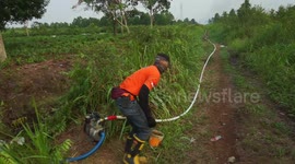 the national disaster management agency extinguished forests and land in Riau
