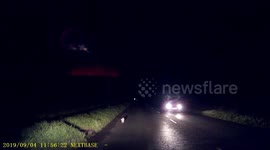 Piglet Escape on Midnight Road