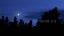 Time Lapse - Moon Setting Over Creepy Forest
