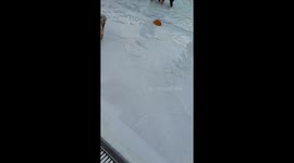 My dog, Lance, enjoying the Fishers YMCA