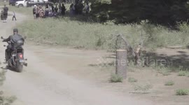 A bride and groom vowed to be each other’s ‘ride or die’ in a biker-themed wedding just WEEKS after they totalled their Harley Davidson in a horror crash.