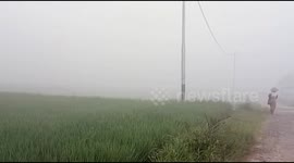Haze reduces visibility and blankets rice paddies of West Sumatra, Indonesia