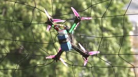 Drone racing at Elagin rally in St Petersburg, Russia