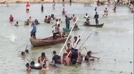 The Unique Tradition of prohibited fish in Indonesia