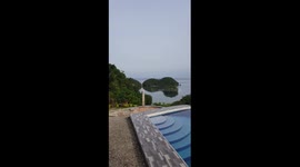 Have you had a glimpse of Paradise?
