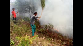 this how the community and firefighters put out land fires