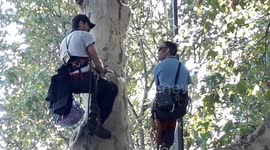 Condom trees: Activist ecologist Thomas BRAIL protesting in a tree since some days face to the french Ministry of Ecology in Paris. 15 september 2019.