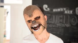 Labrador puppy reacts to Chewbacca mask