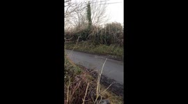 Vintage rally car on country road!