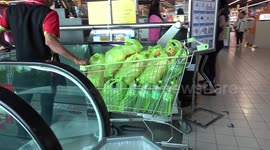 Thailand to start charging for single-use bags to combat plastic pollution