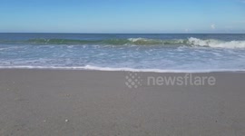Atlantic Ocean, waves breaking on Playalinda Beach, Florida in the evening.