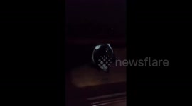 Gato Juninho ajudando arrumar a gaveta