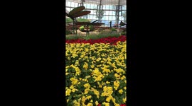 Vinpearl Land to launch botanical park