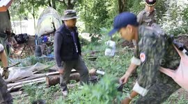US man, 59, arrested in Thailand after growing 'cannabis plants in his back garden'