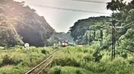 Delivery driver killed after trying to cross railway line as train approached