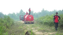 Fire task force in Indonesia extinguishes burning peatlands to combat haze crisis
