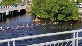 Dolphins trapped in canal are rescued by human chain in Florida