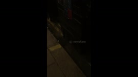 Girls Fighting in Brighton