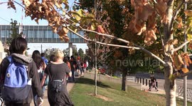 Warm autumn temperatures in Waterloo Ontario make for some great and not so great fall colors on campus at the university with some trees drying up and other still showing beautiful color
