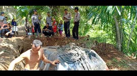 Car BURIED by Indonesian man because he couldn’t keep up on repayments discovered in oil plantation two years later