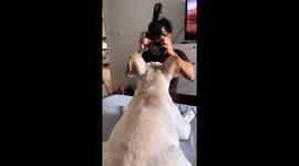 My dog reacts to a snorkel mask