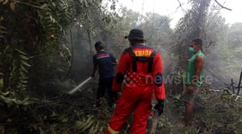 Indonesia Forest Fire still cntinue