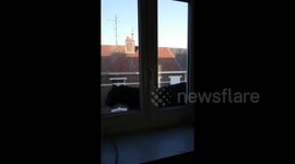 Panther walks on three-storey ledge in northern France