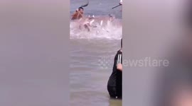 Hundreds of people catch fish leaping out of river in China's Yueqing