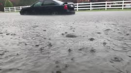 Drain tries to keep up with rainfall and Nissan Rogue challenges the rising water from Imelda