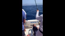 Catching tuna in Spain