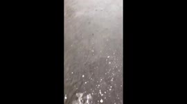 'Hopefully my car insurance covers this': Houston man wades through road flooded by Tropical Depression Imelda