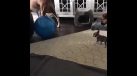Where’s they go?