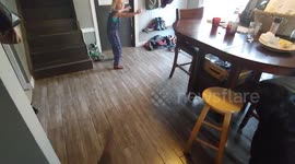 Dog opens door to get supper!