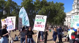 'Vote leaves - not leave!' Climate change activists take over London with banners and flags