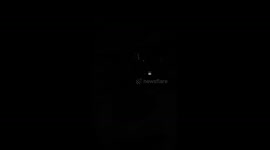 The Pilliga ghost